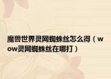 魔兽世界灵网蜘蛛丝怎么得（wow灵网蜘蛛丝在哪打）