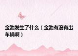 金池发生了什么（金池有没有出车祸啊）