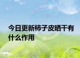 今日更新柿子皮晒干有什么作用