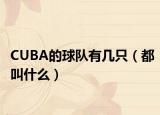 CUBA的球队有几只（都叫什么）