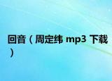 回音（周定纬 mp3 下载）