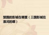 楚国的彭城在哪里（三国彭城在淮河的哪）