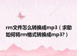 rm文件怎么转换成mp3（求助如何将rm格式转换成mp3?）