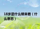 18岁是什么梗来着（什么意思）