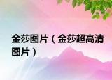 金莎图片（金莎超高清图片）
