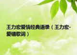 王力宏爱情经典语录（王力宏-爱错歌词）