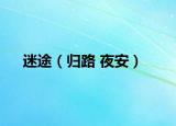 迷途（归路 夜安）