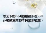 怎么下载mp4的视频到u盘（mp4格式视频怎样下载到U盘里）