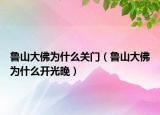 鲁山大佛为什么关门（鲁山大佛为什么开光晚）