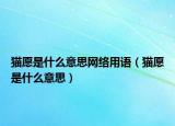 猫愿是什么意思网络用语（猫愿是什么意思）