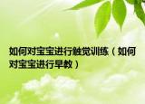 如何对宝宝进行触觉训练（如何对宝宝进行早教）