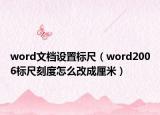 word文档设置标尺（word2006标尺刻度怎么改成厘米）