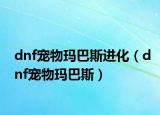 dnf宠物玛巴斯进化（dnf宠物玛巴斯）