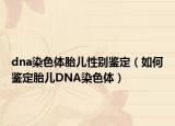 dna染色体胎儿性别鉴定（如何鉴定胎儿DNA染色体）