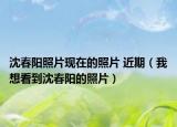 沈春阳照片现在的照片 近期（我想看到沈春阳的照片）