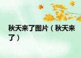 秋天来了图片（秋天来了）