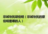 非诚勿扰胡佳明（非诚勿扰的蔡佳明是哪的人）