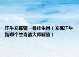 汗牛充栋猜一最佳生肖（充栋汗牛指哪个生肖请大师解答）