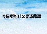 今日更新什么是汤翡翠