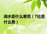 淌水是什么意思（T社是什么意）