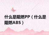 什么是阻燃PP（什么是阻燃ABS）
