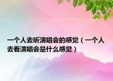 一个人去听演唱会的感觉（一个人去看演唱会是什么感觉）