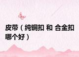 皮带（纯铜扣 和 合金扣 哪个好）
