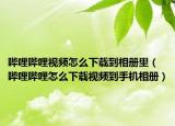 哔哩哔哩视频怎么下载到相册里（哔哩哔哩怎么下载视频到手机相册）