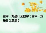 富甲一方是什么数字（富甲一方是什么意思）