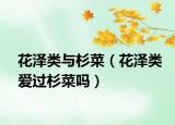花泽类与杉菜（花泽类爱过杉菜吗）