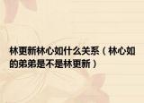 林更新林心如什么关系（林心如的弟弟是不是林更新）