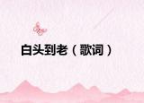 白头到老（歌词）