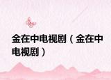 金在中电视剧（金在中电视剧）