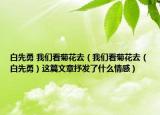 白先勇 我们看菊花去（我们看菊花去（白先勇）这篇文章抒发了什么情感）