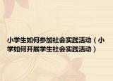 小学生如何参加社会实践活动（小学如何开展学生社会实践活动）