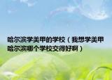哈尔滨学美甲的学校（我想学美甲哈尔滨哪个学校交得好啊）