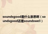 soundsgood是什么意思啊（soundsgood还是soundswell）