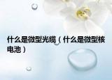 什么是微型光缆（什么是微型核电池）