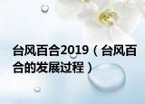台风百合2019（台风百合的发展过程）