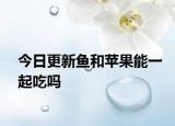 今日更新鱼和苹果能一起吃吗