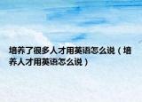培养了很多人才用英语怎么说（培养人才用英语怎么说）