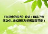 《你是我的阳光》歌词（阳光下我怀念你..谁知道这句歌词是那首歌）