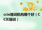 ccie培训机构哪个好（CCIE培训）