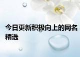 今日更新积极向上的网名精选
