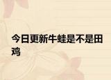 今日更新牛蛙是不是田鸡