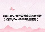 excel2007文件设置密码怎么设置（如何为Excel2007设置密码）