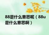 88是什么意思呢（88u是什么意思啊）