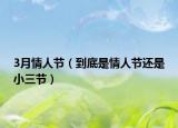 3月情人节（到底是情人节还是小三节）