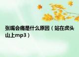 张嘴会痛是什么原因（站在虎头山上mp3）