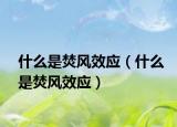 什么是焚风效应（什么是焚风效应）